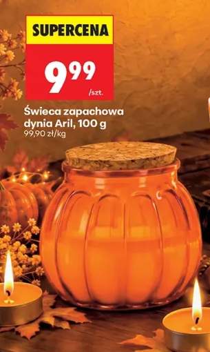 Świeca zapachowa dynia Aril