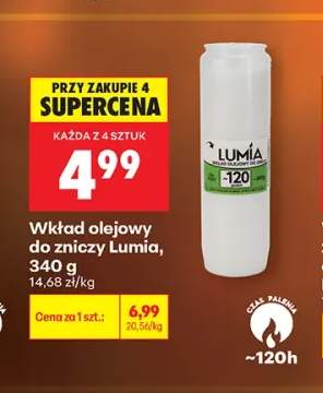 Wkład olejowy do zniczy Lumia