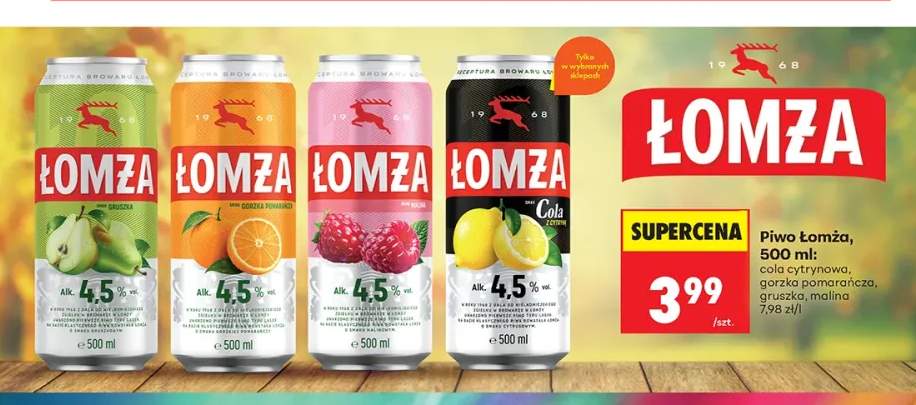 Piwo Łomża gorzka pomarańcza +3 warianty