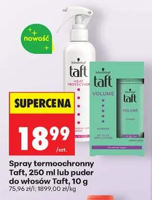 Puder do włosów Taft +1 wariant