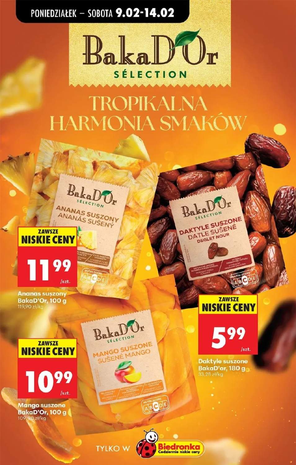 Gazetka – strona 56