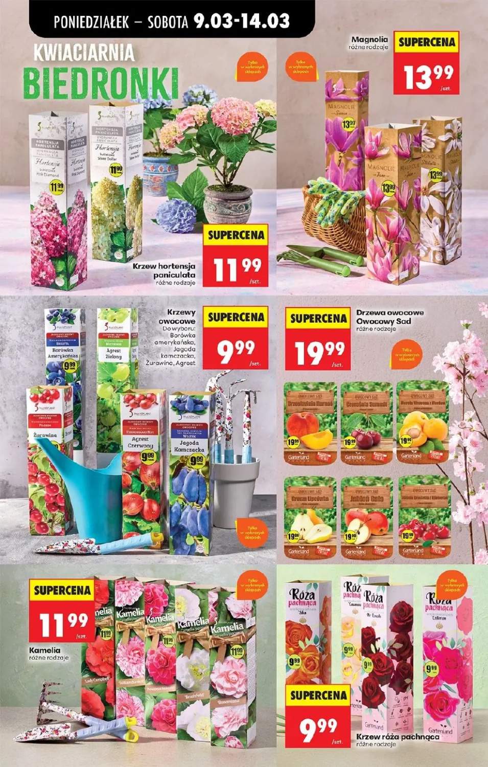 Gazetka – strona 76