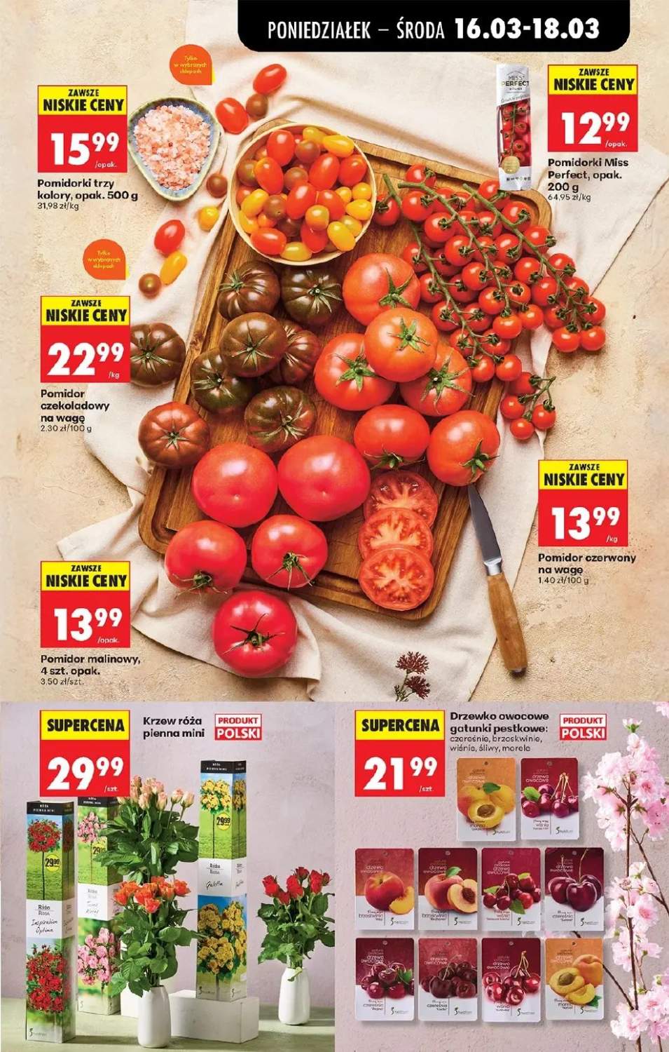 Gazetka – strona 29