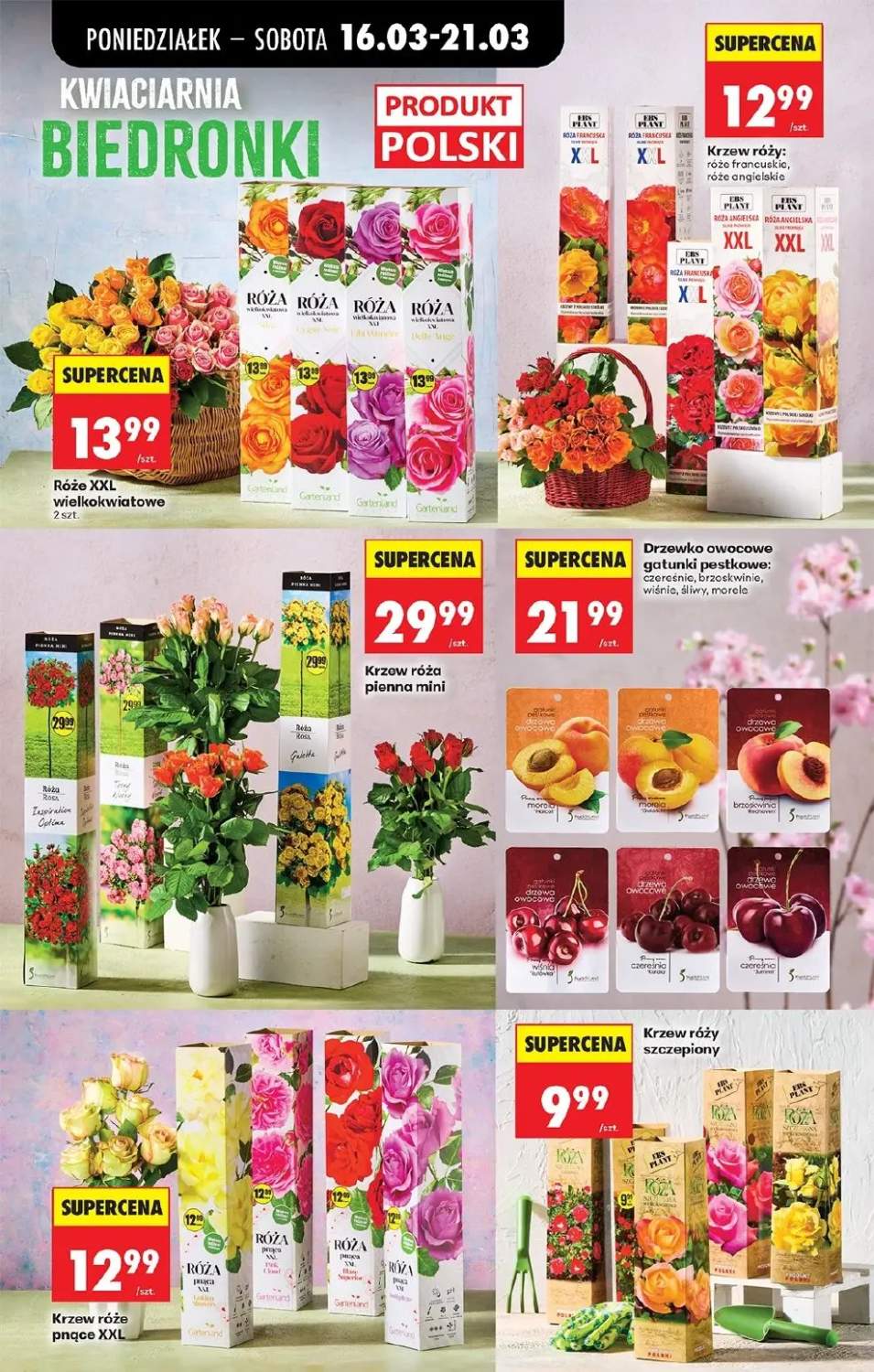 Gazetka – strona 79