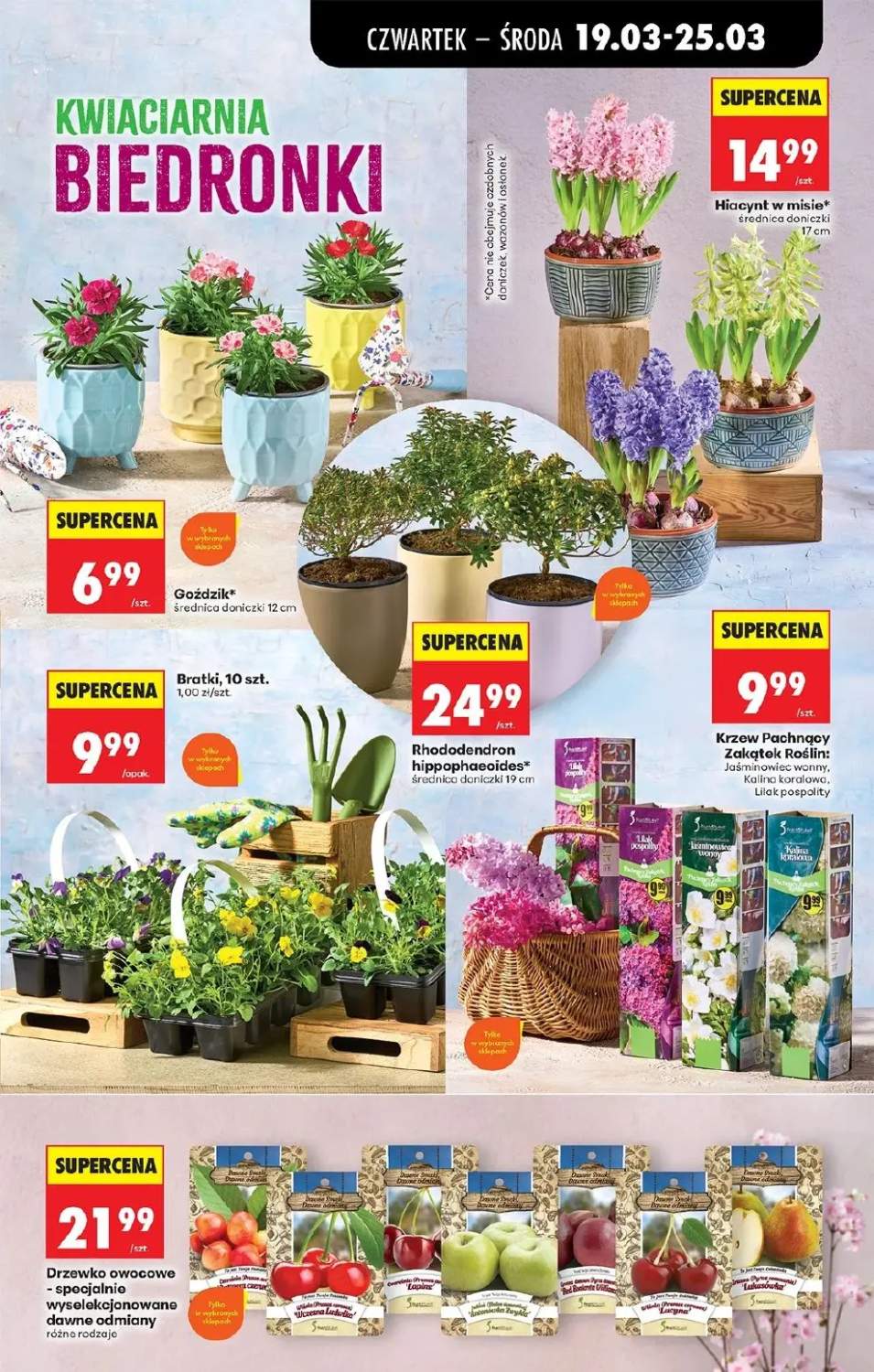 Gazetka – strona 77