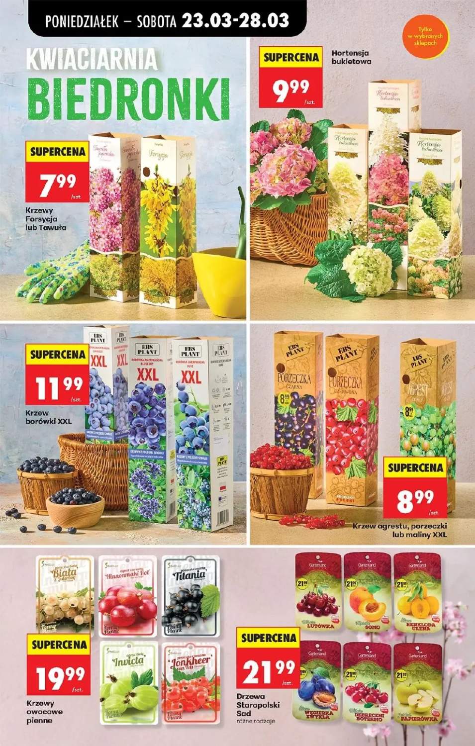 Gazetka – strona 14