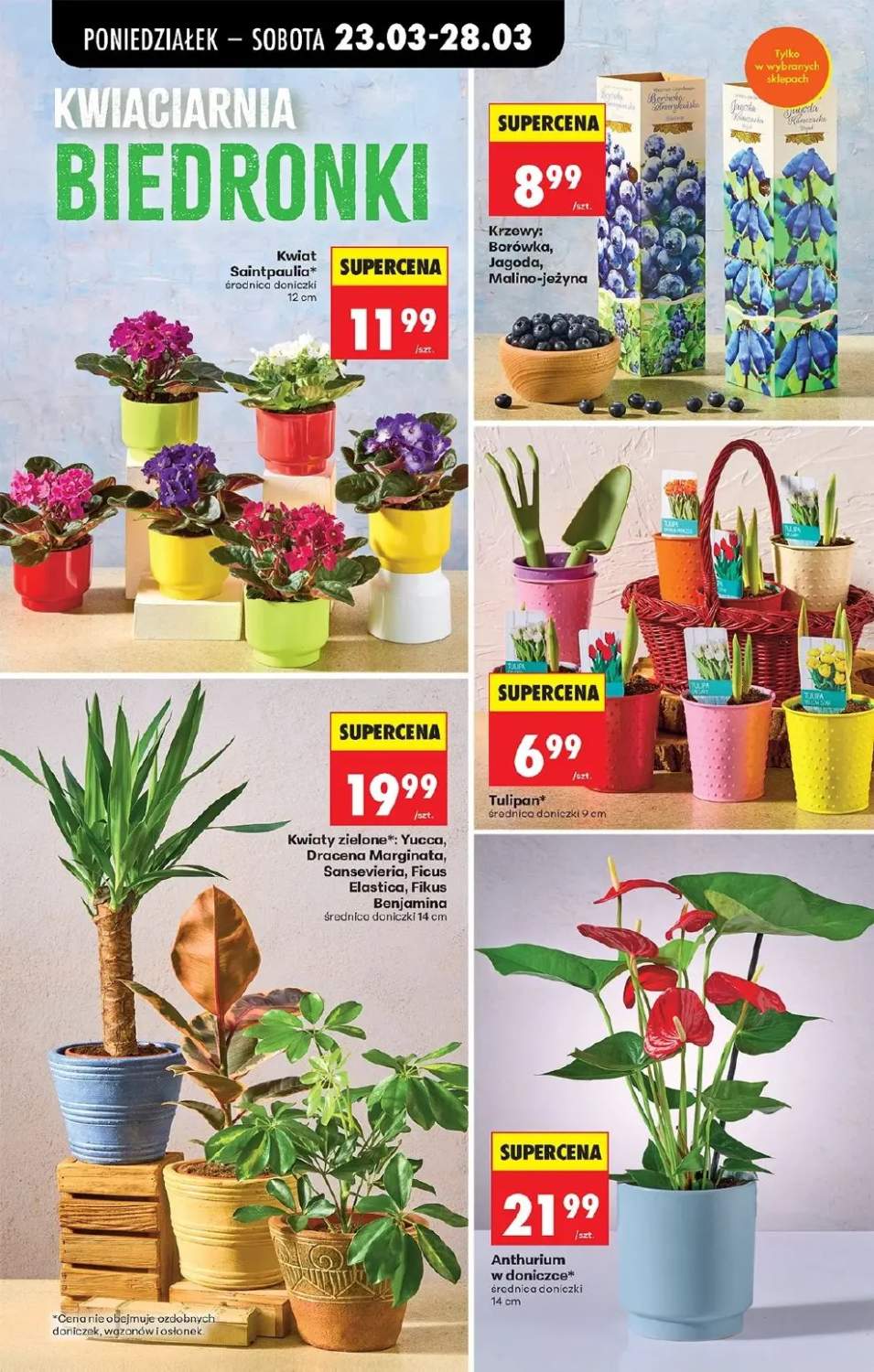 Gazetka – strona 15