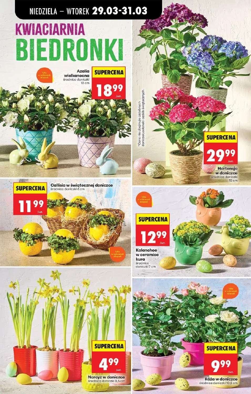 Gazetka – strona 27