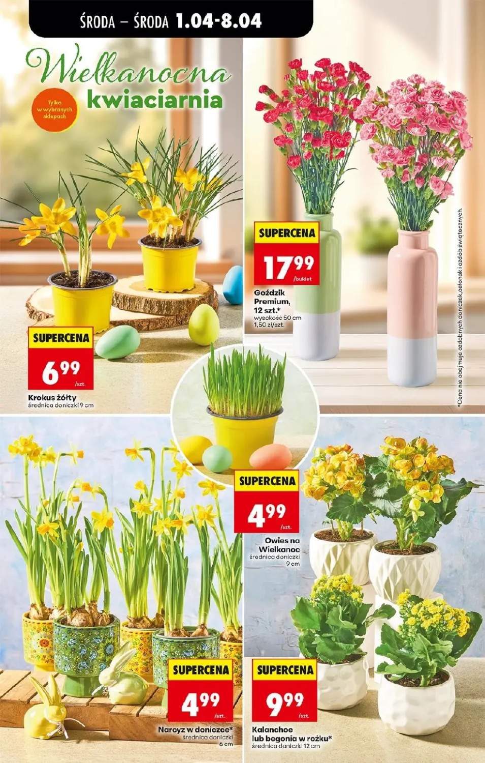 Gazetka – strona 26