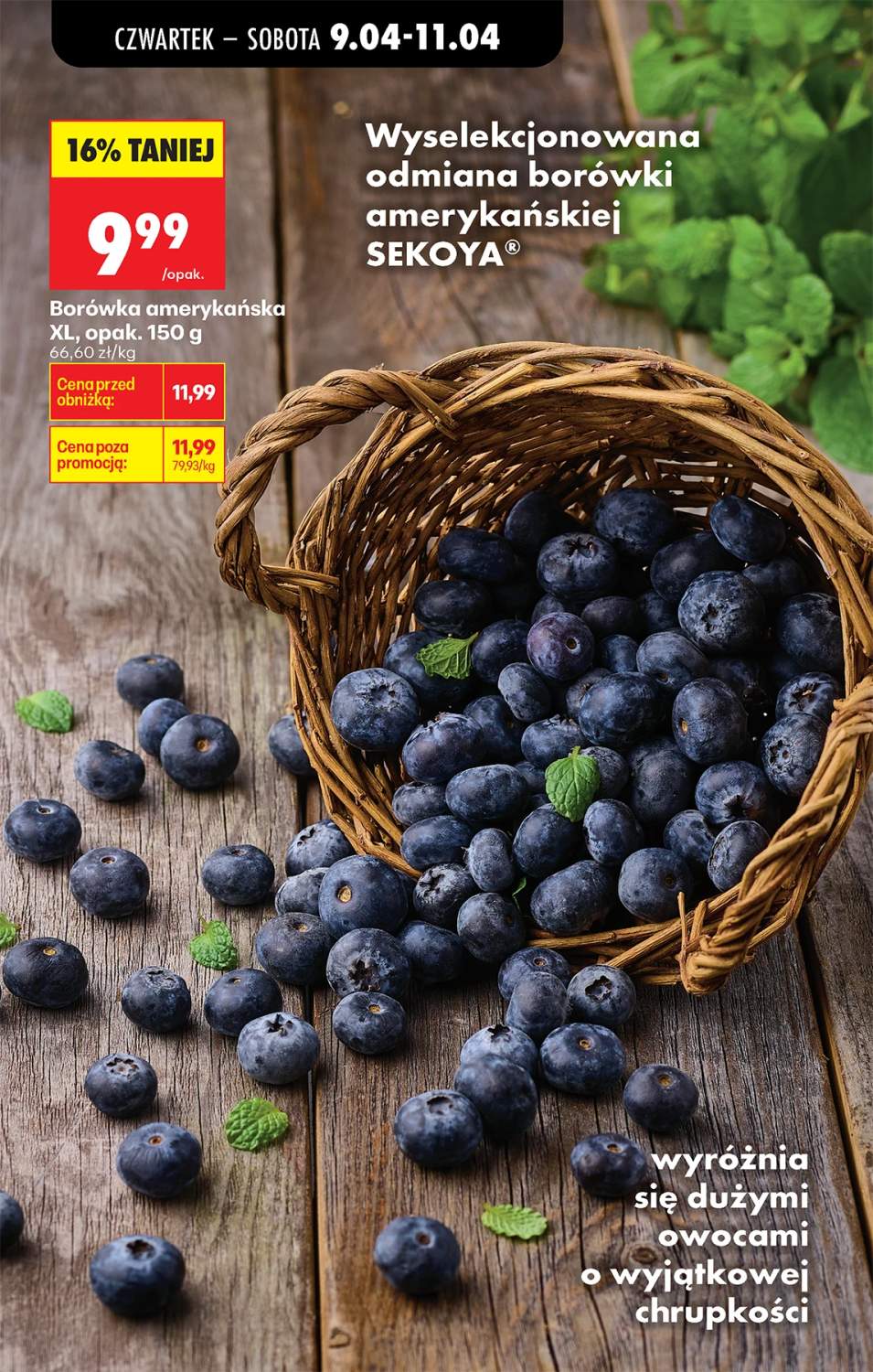 Gazetka – strona 55