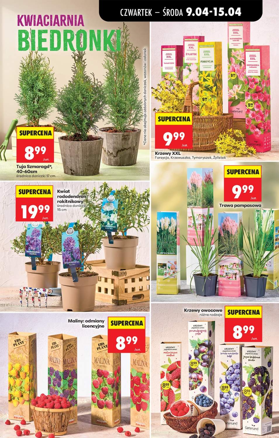 Gazetka – strona 81