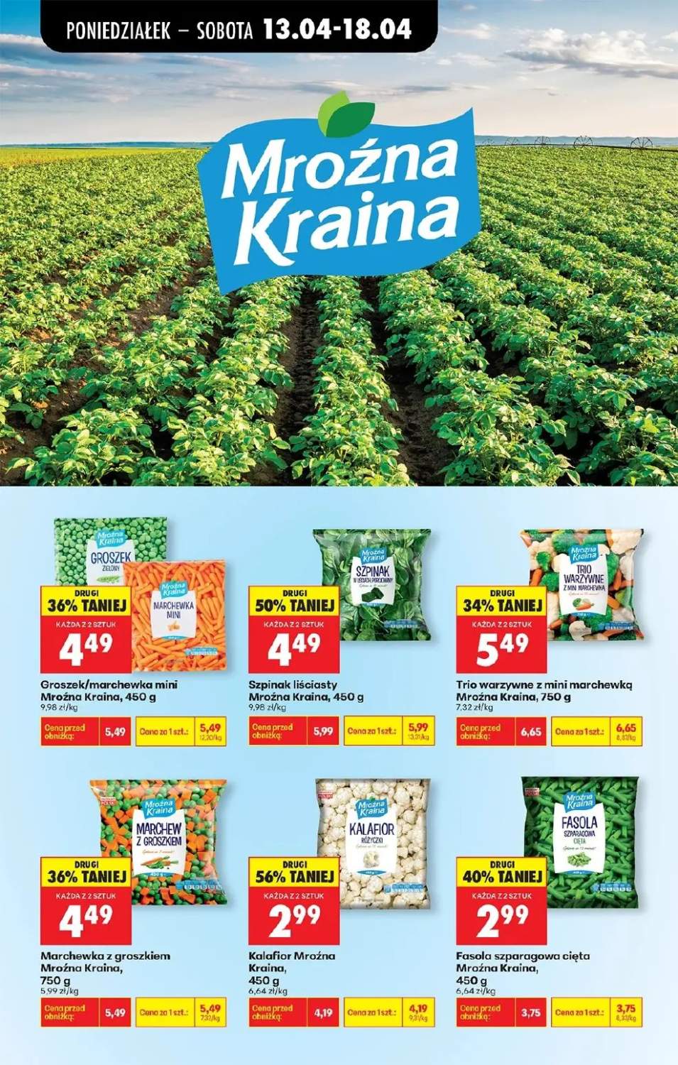 Gazetka – strona 43