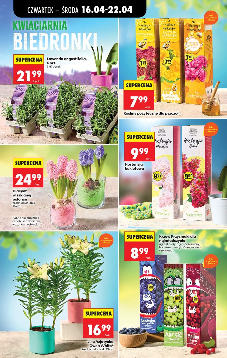 Gazetka – strona 43