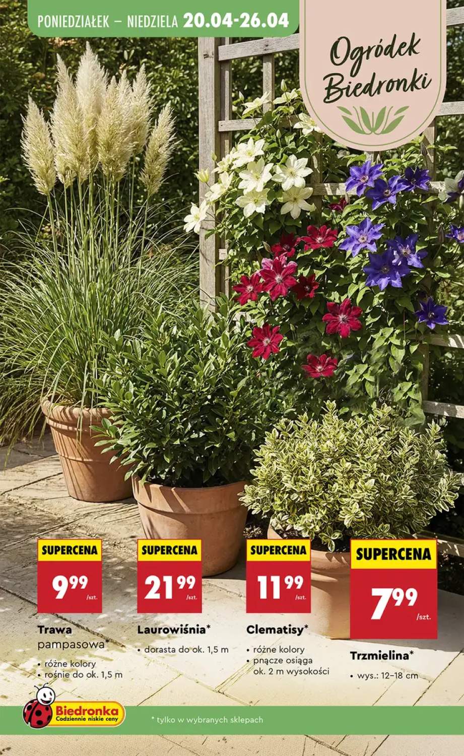 Gazetka – strona 5