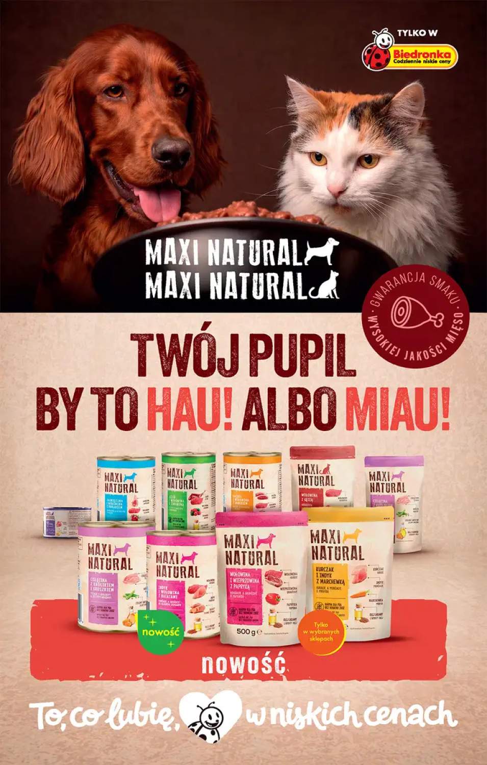 Gazetka – strona 77