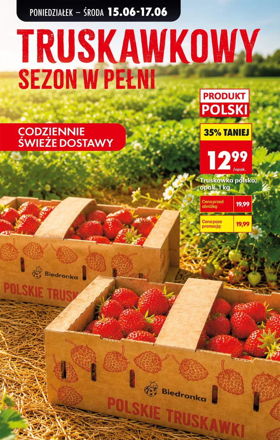 Gazetka – strona 31