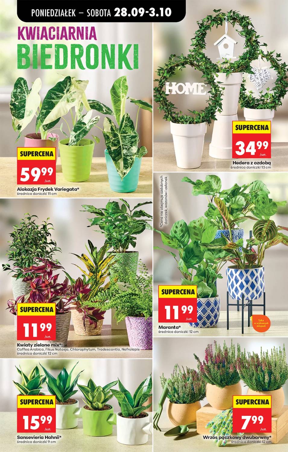 Gazetka – strona 40