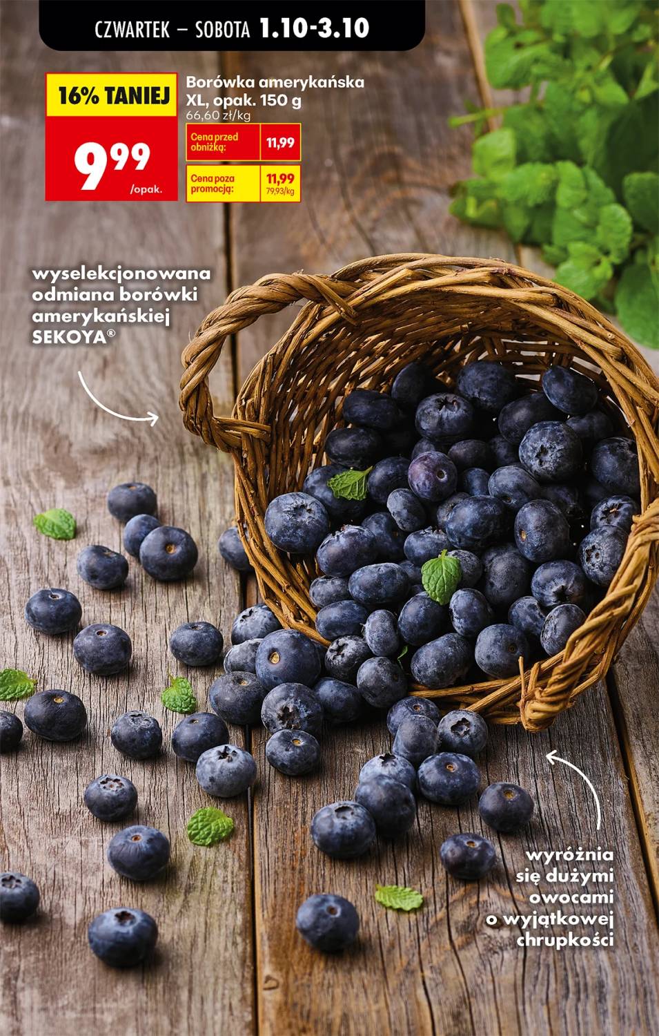 Gazetka – strona 26