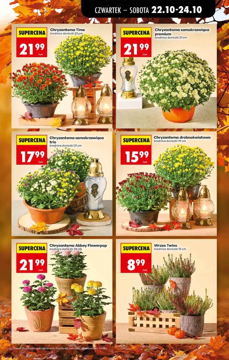 Gazetka – strona 19