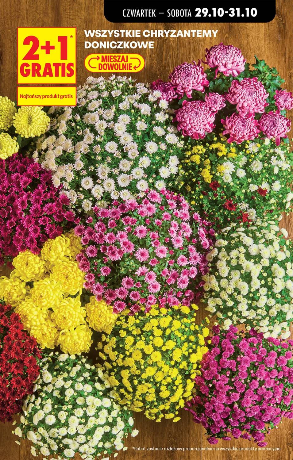 Gazetka – strona 23
